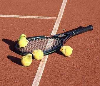 Chick Competition – Ladies Doubles 2019